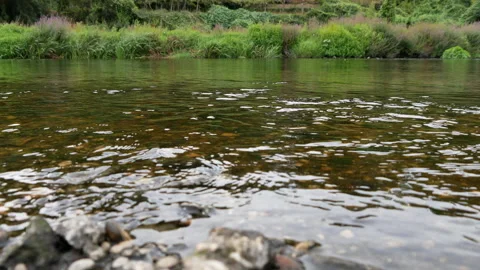 Low angle river flowing in summer. Stock Footage 248455483