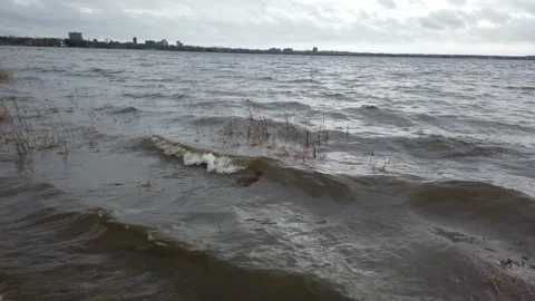 Low angle of river waves flowing over reeds Stock Footage 143197304