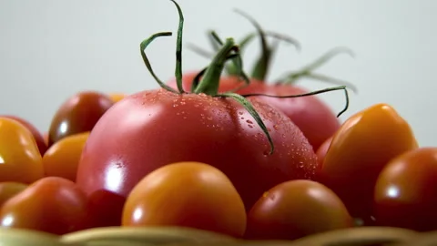 Low angle rotation of large tomatoes and yellow grape cherries Vídeo Stock 344862553