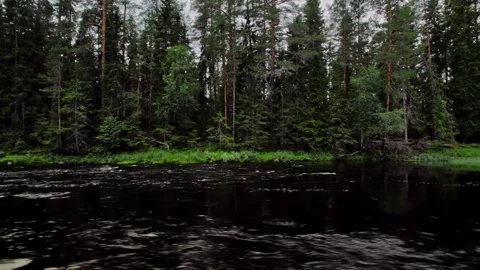 Low Angle Sailing Shot over the Storån River Flowing Through a Swedish Forest 動画素材 276162640