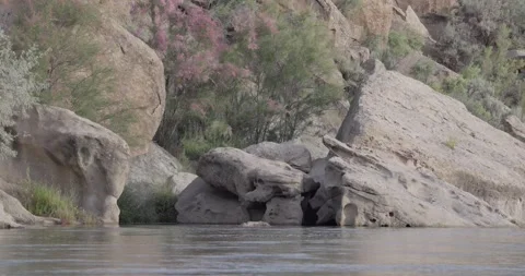 Low angle San Juan River shot with limestone rocks and blooming pink tamarisk Stock Footage 336407614