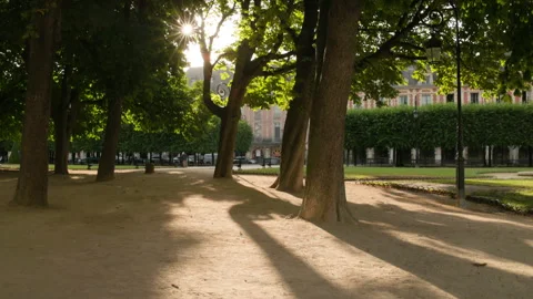 Low-angle scenic view of a shaded dirt path in Place des Vosges, Paris, showing  库存影片 338006752