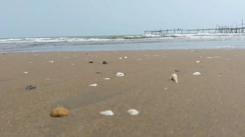 Low Angle Seashells on Beach with Ocean Waves Background 4K Stock Footage 346532202