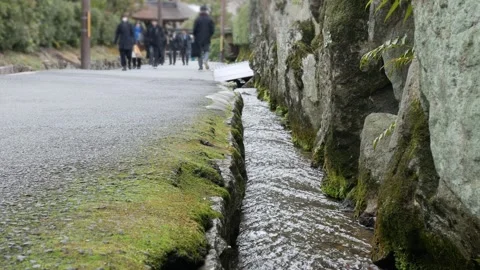 Low angle with selective focus view to small ditch with fresh clear water f.. Stock Footage 294915910