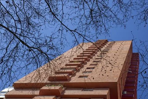 Low angle shooting of red brick residential skyscraper with leafless trees .. Stock Photos