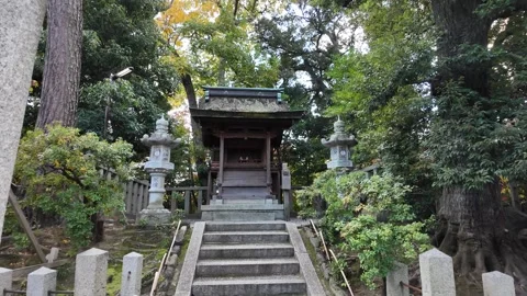 Low Angle Shot of Ancient Torii Gate in Forest Shrine Stock Footage 327881494