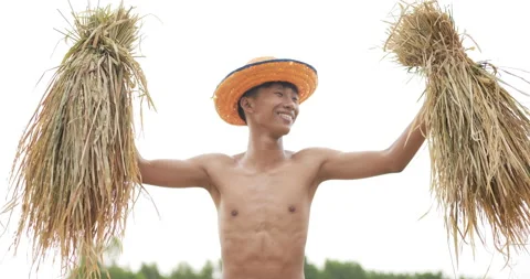 Low angle shot, Asian young farmer male without shirt wearing hat is holding  Stockbeeldmateriaal 202058470