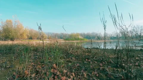 Low-angle shot of the beautiful colorful lake-shore in the autumn Stock-Footage 164323398