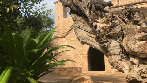 Low Angle Shot behind a tree during rain of an Old Church Stock Footage 83205899