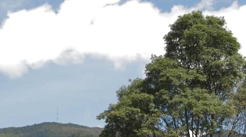 Low Angle Shot of Bogota's Eastern Mountains Video stock 42267832