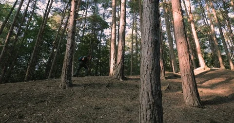 Low angle shot boy running up pine forest hill Stock Footage 116184835