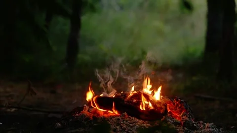 Low angle shot of burning campfire with bright flames and embers in forest Stock Footage 341878353