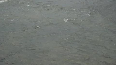Low Angle Shot of Calm Rippling Water with Subtle Flow Patterns Stock Footage 310024067