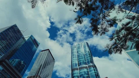 A low-angle shot capturing the vibrant cityscape of Hong Kong from beneath tree Stock Footage 338311538