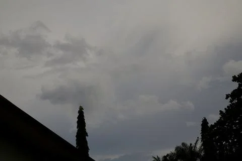 A low angle shot of a cloudy, overcast sky. Silhouettes of trees and part of  Stock Photos