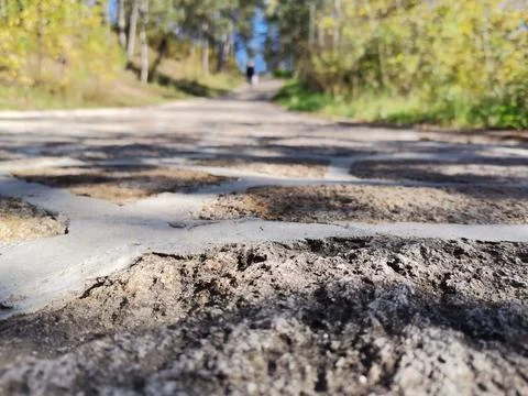 Low-angle shot of a cobblestone path 스톡 사진