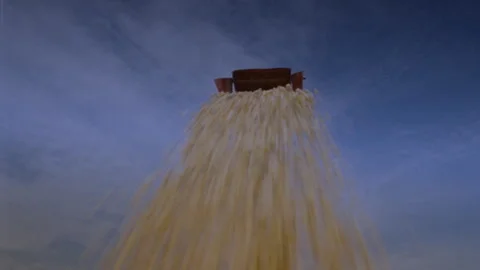 Low angle shot of corn kernels falling onto the camera lens Stock Footage 312274188