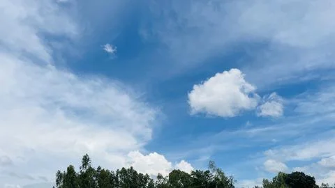 Low Angle Shot of Cumulus Cloud in Blue Sky Over Tree Canopy Stock Photos