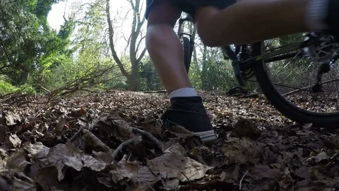 Low angle shot of cyclist with mountain bike walking in the forest Stock Footage