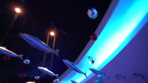 Low-angle shot of decorative fish sculptures and shiny ornaments hanging fr.. Stock Footage 338183110