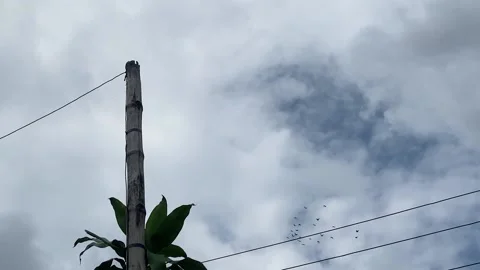 Low angle shot of dramatic cloudy sky with white cumulus clouds passing by Stock Footage 220431792