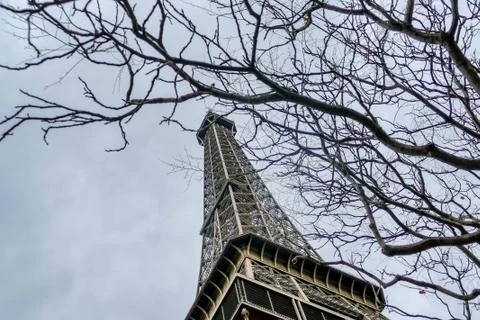 A low angle shot of the Eiffel Tower in Paris with tree branches on the right Stock Photos