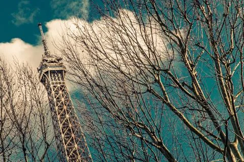 Low angle shot of Eiffel Tower with beautiful autumn trees in the foreground 库存照片
