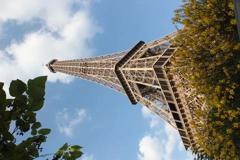 Low angle shot of the Eiffel Tower seen behind green trees in Paris, France Foto stock