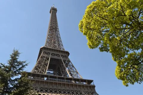 Low angle shot of the Eiffel tower and trees around it on a clear sunny day, Par Stockfoto's