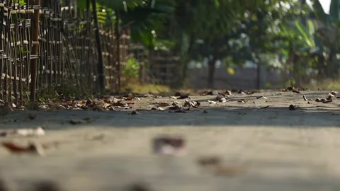 Low Angle Shot of Empty Rural Road With Bamboo Fence and Dry Leaves Video stock 325332665
