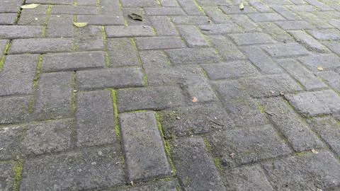 A low-angle shot features a textured stone pavement with a herringbone patt.. Stock Photos