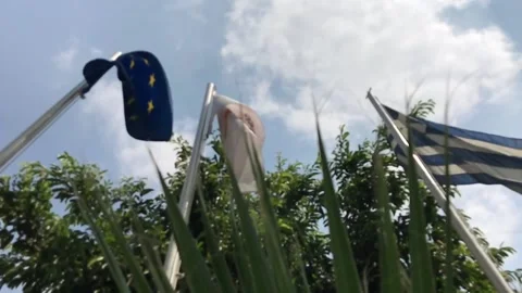 Low Angle Shot of Flags Above Green Plants in Slow Motion Stock Footage 101228185
