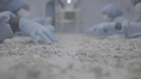 Low angle shot of food moving on conveyor belt Stock-Footage 327443679