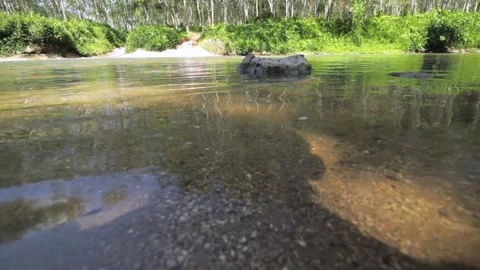 Low angle shot of fresh water flows from small river Stock Footage 231742365