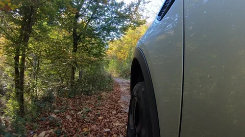Low angle shot of the front of the car driving on a forest road Stock Footage 118545766