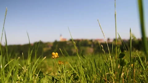 A low angle shot of grass in front of a small Austrian village Stock-Footage 157852037