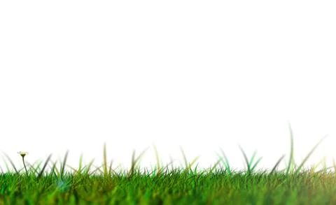 Low angle shot of grass Illustrazione stock