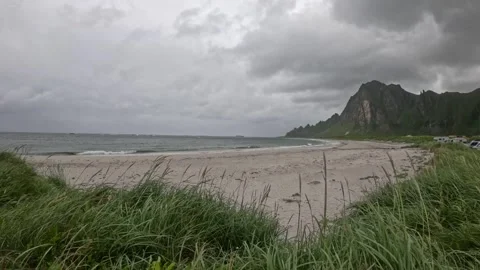 Low angle shot of green dune grass swaying in wind at Bleik Beach Norway Stock-Footage 343130655