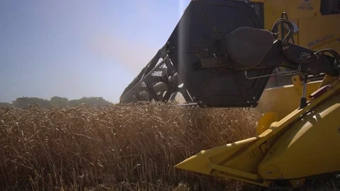 Low Angle shot of harvester moves and collect grain of wheat slow motion Video stock 120116856