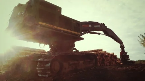 Low angle shot of heavy logging machinery in the forest Video stock 230727519