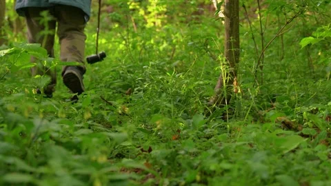 Low angle shot of hiker boots walking on forest floor in spring. Stock Footage 345138818