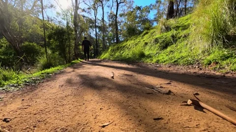 Low Angle Shot of Hiker Walking on Forest Dirt Trail Stock Footage 345695228
