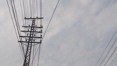 Low Angle Shot of Industrial Power Lines and Electric Utility Stockbeeldmateriaal 331765959