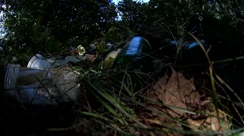 Low angle shot junk dump on meadow summer forest evening Stock Footage 66261055