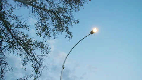 Low angle shot of LED streetlight shining in the early evening. Stock Footage 242011701