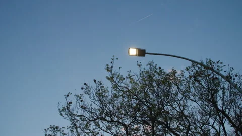 Low angle shot of LED streetlight shining in the early evening. Stock Footage 242012100