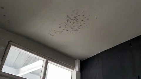 Low angle shot looking up at a white room ceiling infested with toxic black mold Vidéo 346760609