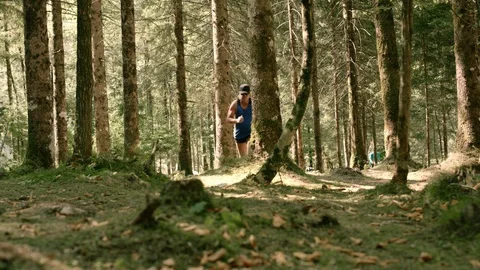 Low Angle Shot Of A Man Running On Soft Mossy Ground In The Coniferous Forest Stock Footage 94031923