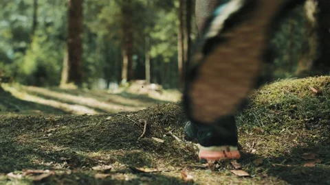 Low Angle Shot Of A Man Running On Soft Mossy Ground In The Coniferous Forest Stock Footage 94031948