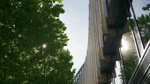 Low-angle shot of a modern office building framed by lush green trees and Stock Footage 315538138